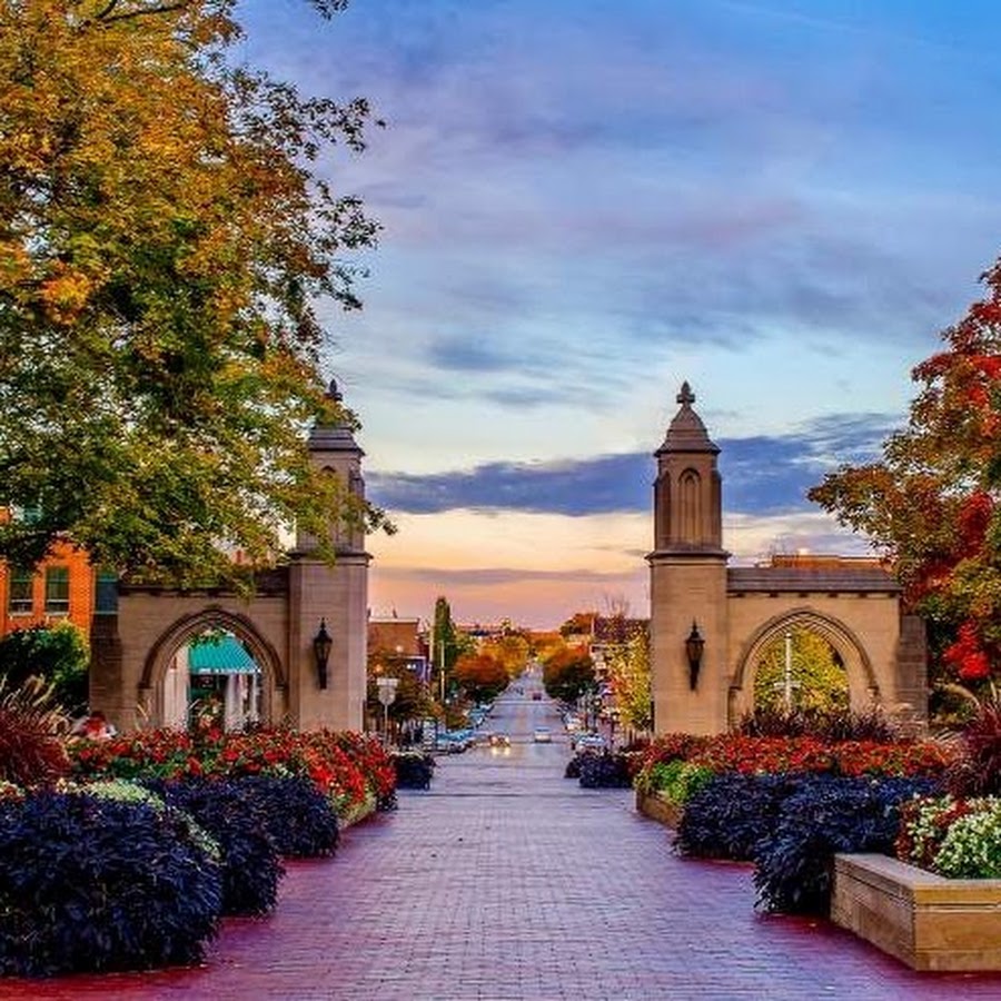 Bloomington, Minnesota Down